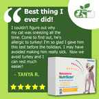 CAT FOOD ALLERGY / SENSITIVITY TEST!
