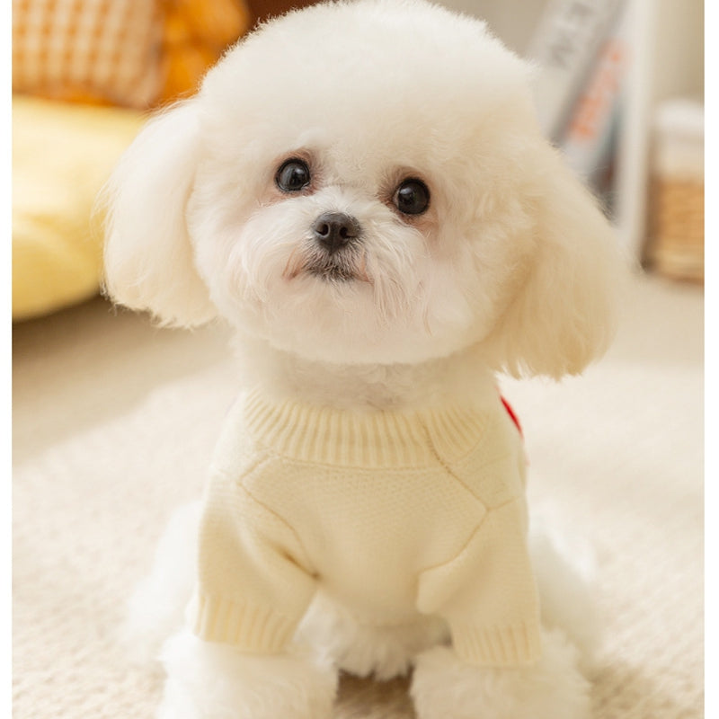 Small Dog Sweaters Knitted Pet Warm Colorful Letter Embroidery Dog Sweatshirt Winter Clothes Kitten Puppy Sweater Doggy Apparel Costumes