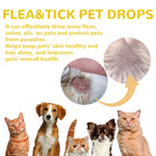 Cat And Dog Cleaning External Fleas Lice Ticks Skin Care
