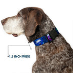 Plastic Clip Collar - Laser Eye Cats in Space