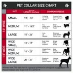 Dog Bone Seatbelt Buckle Collar - Laser Eye Cats in Space