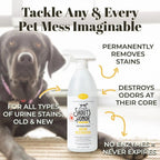 Skout's Honor Dog Urine Destroyer Carpet Cleaner 35oz Professional Strength