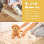 Skout's Honor Dog Urine Destroyer Carpet Cleaner 35oz Professional Strength