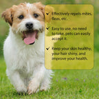 Cat And Dog Cleaning External Fleas Lice Ticks Skin Care