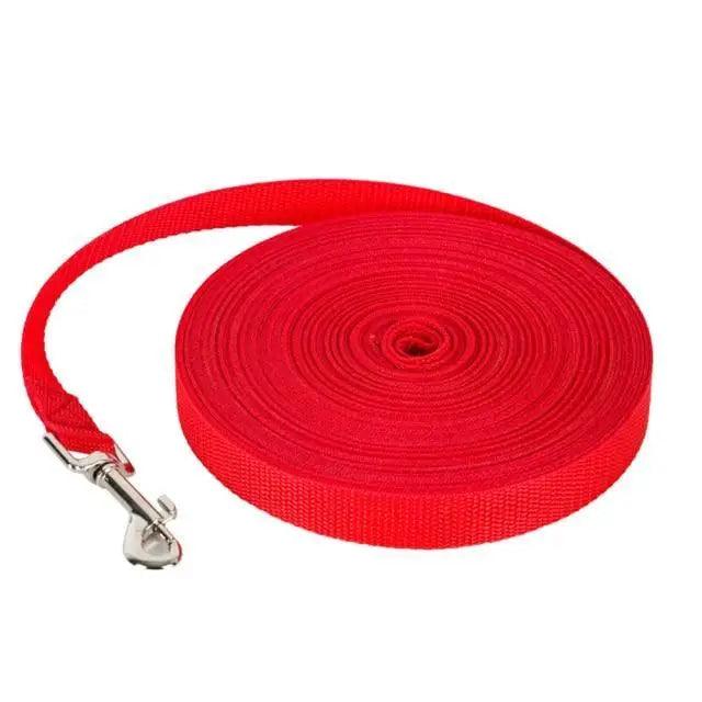 Pet Leashes Rope Outdoor Training Running Dog Leash Belt  Dogs Lead For Small And Large Dog Long Lead-Training Leash/Long Line Dog Leash Great for Dog/Puppy